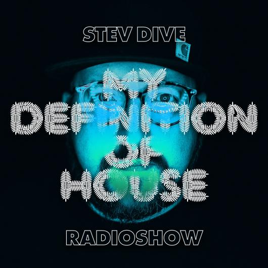 Stev Dive My Definition of House Radioshow