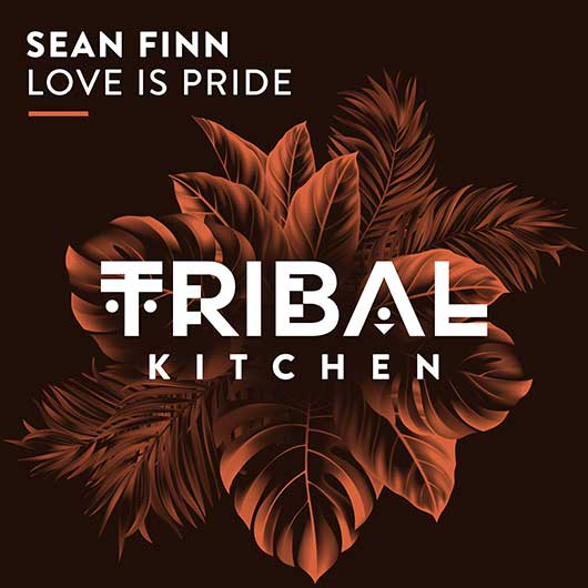 Sean Finn Love Is Pride