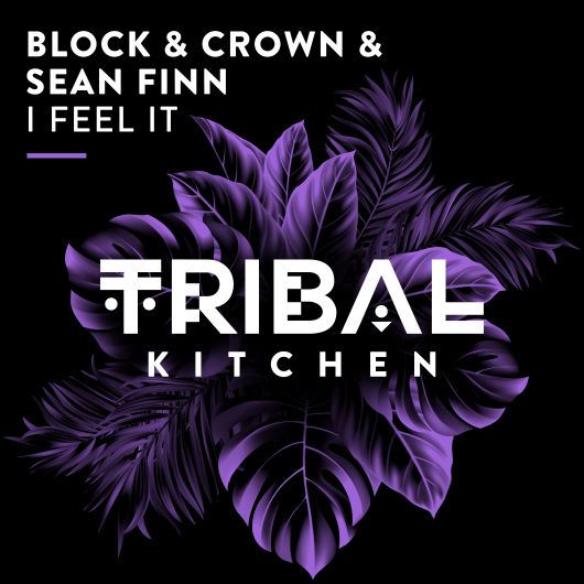 Block & Crown, Sean Finn I Feel It