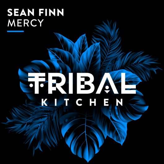 Sean Finn Mercy