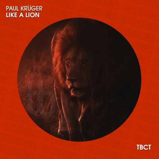 Paul Krüger Like A Lion