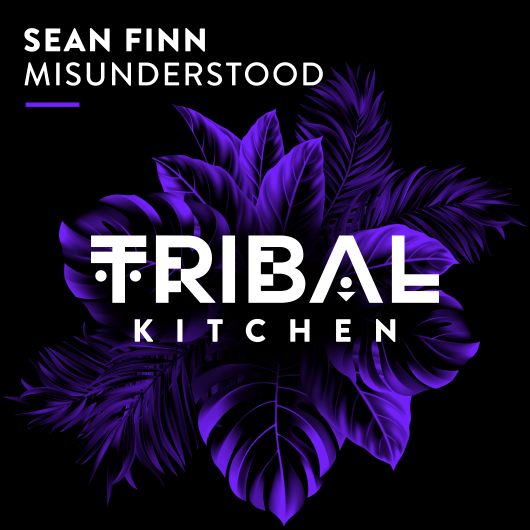 Sean Finn Misunderstood