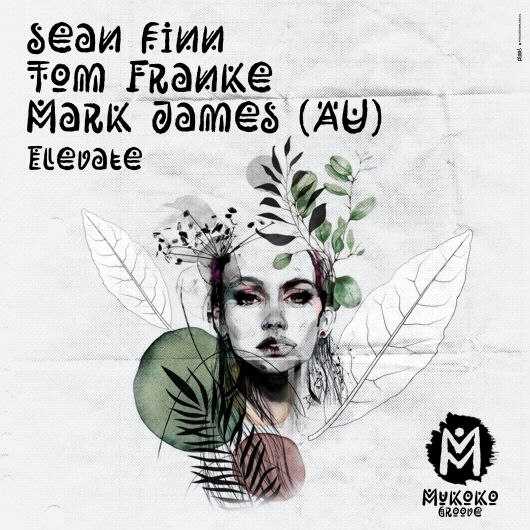 Sean Finn Tom Franke  Mark James Au Elevate