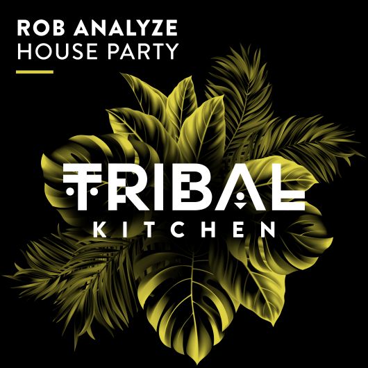 Rob Analyze House Party