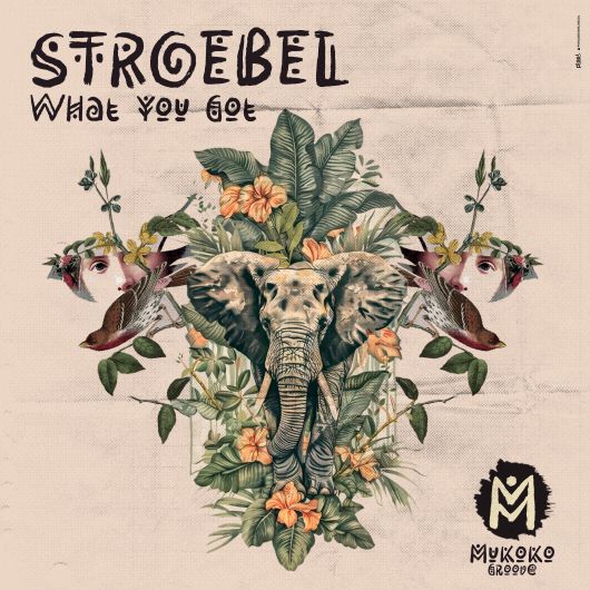 Stroebel What You Got