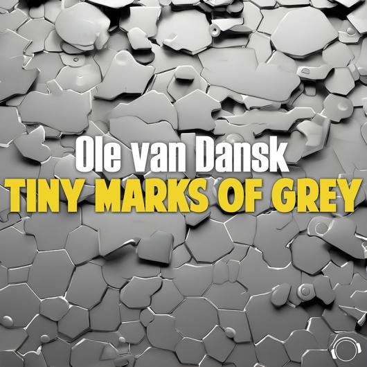 Ole Van Dansk Tiny Marks Of Grey