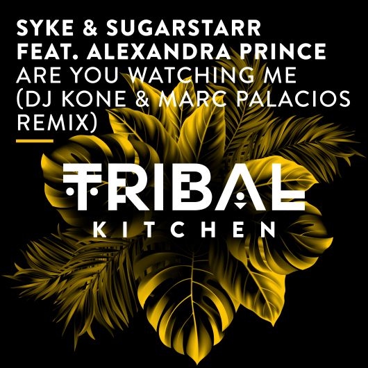Syke & Sugarstarr feat. Alexandra Prince Are You Watching Me