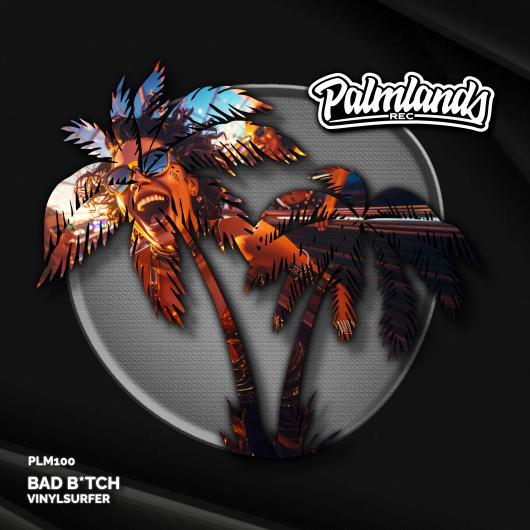 Vinylsurfer Bad B*tch