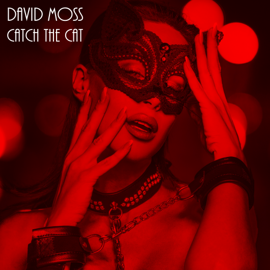 David Moss Catch The Cat