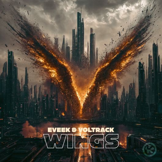 Eveek & VolTrack Wings