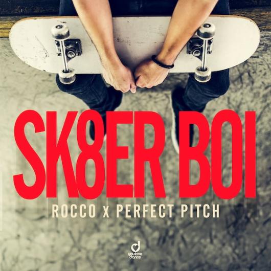 Rocco x Perfect Pitch Sk8er Boi
