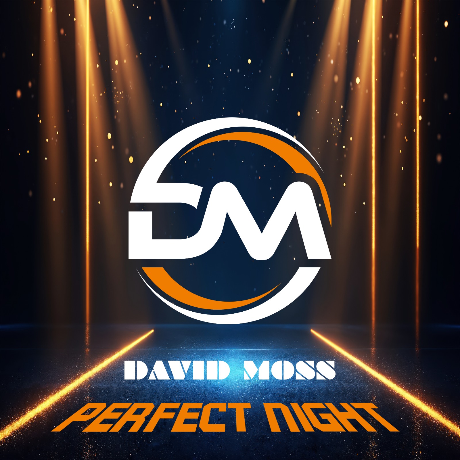 David Moss Perfect Night
