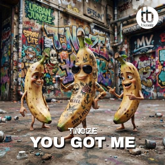 T.noize You Got Me