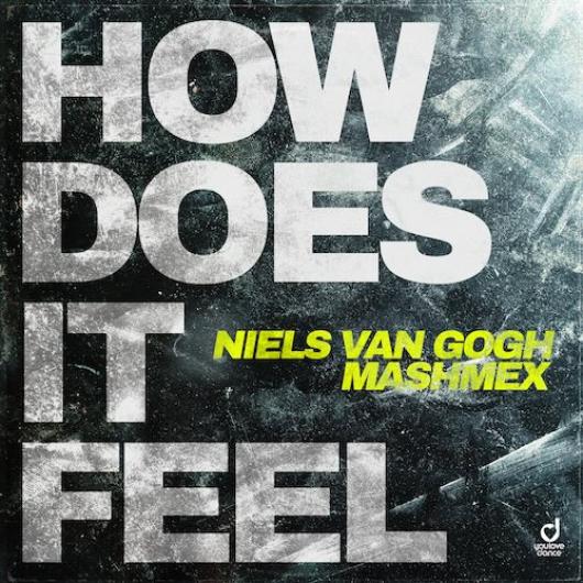 Niels Van Gogh & Mashmex How Does It Feel